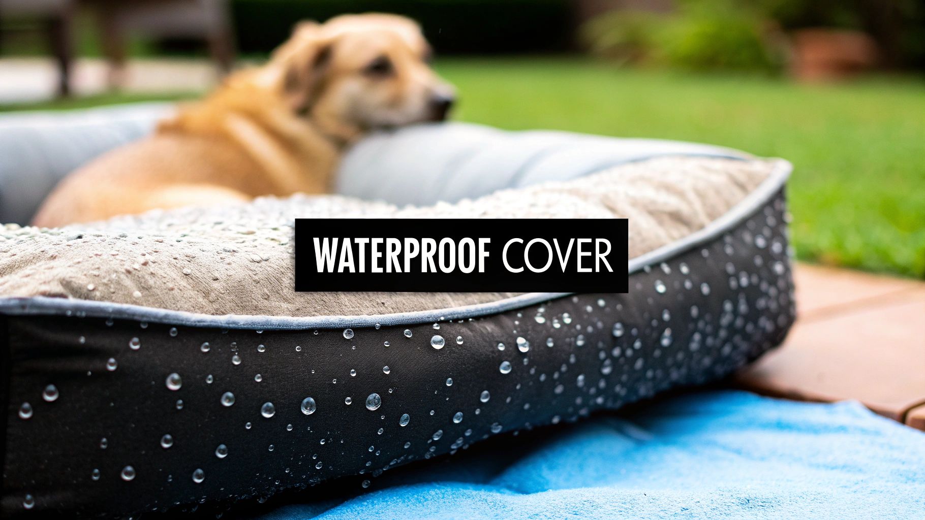 Waterproof Dog Bed Covers That Actually Work