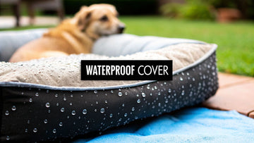 Waterproof Dog Bed Covers That Actually Work