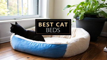 Finding the Best Cat Beds for Senior Cats
