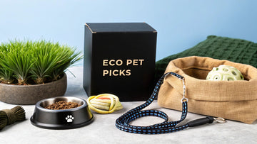 7 Best Eco-Friendly Pet Products for a Greener 2025