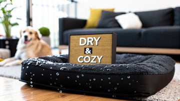 7 Best Water Resistant Dog Bed Options for 2025