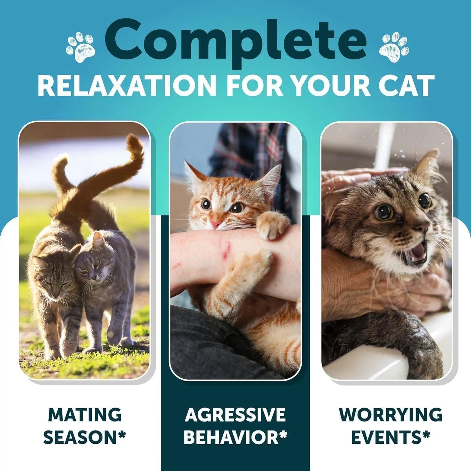 Hemp Calming Treats for Cats & Kittens – Stress & Anxiety Relief with Melatonin - Flufer Store