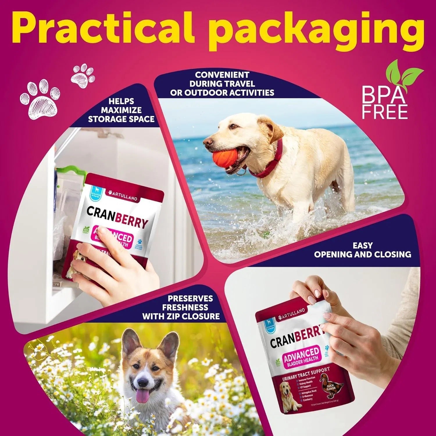 Do Not Sell On Amazon Dog UTI Treatment Cranberry Supplement Bladder Control Urinary Tract Infection Incontinence Pill Bladder Stones UTI Medicine Treats 70 Soft Chews For Kidney Support With Fish Oil - Flufer Store
