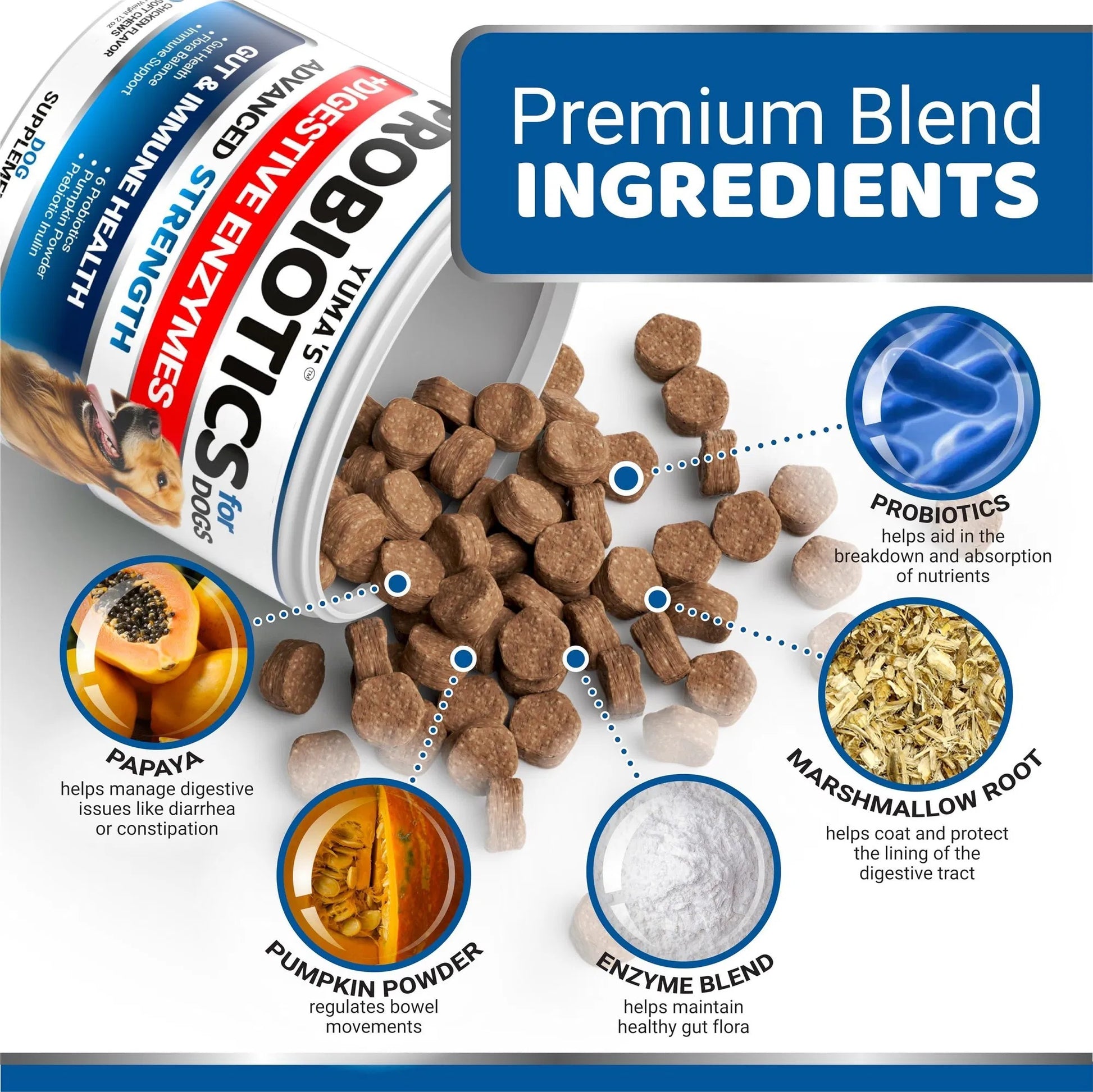 Do Not Sell On Amazon Probiotics For Dogs And Digestive Enzymes 170 Dog Probiotics Chews Pet Fiber Supplement Anti Diarrhea Upset Stomach & Gas Relief Constipation Canine Prebiotic - Flufer Store