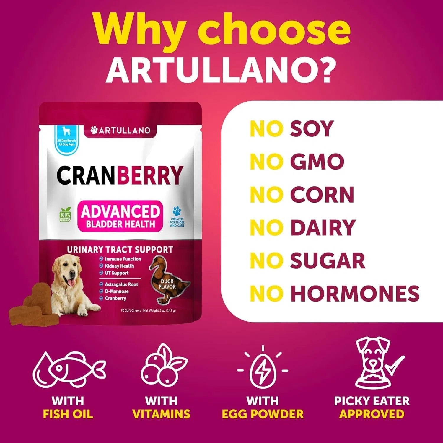 Do Not Sell On Amazon Dog UTI Treatment Cranberry Supplement Bladder Control Urinary Tract Infection Incontinence Pill Bladder Stones UTI Medicine Treats 70 Soft Chews For Kidney Support With Fish Oil - Flufer Store