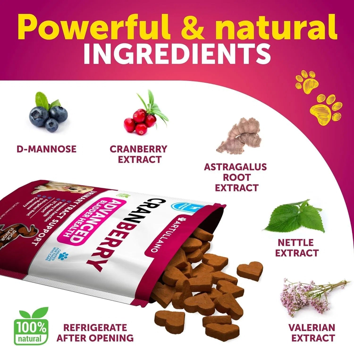 Do Not Sell On Amazon Dog UTI Treatment Cranberry Supplement Bladder Control Urinary Tract Infection Incontinence Pill Bladder Stones UTI Medicine Treats 70 Soft Chews For Kidney Support With Fish Oil - Flufer Store