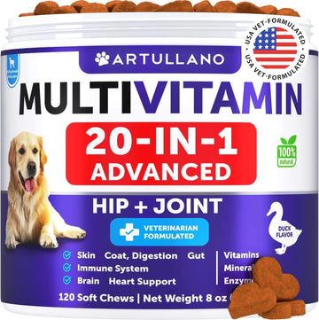 Do Not Sell On Amazon Dog Multivitamin Chewable With Glucosamine 20 In 1 Dog Vitamins And Supplements Senior & Puppy Multivitamin For Dogs Pet Joint Support Health Immunity Mobility Gut Skin 120 Chews - Flufer Store